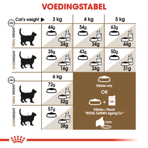 Royal Canin Ageing Sterilised 12+ Kattenvoer 2kg -Bekende Dieren Product Winkel 5f20f428cff199b837abe829635c8558ea16652d07551d384e43428bf3a57718 1