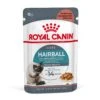 Royal Canin Hairball Care Natvoer In Gravy Kattenvoer 48x85g -Bekende Dieren Product Winkel Royal Canin Hairball Care Gravy Cat 1