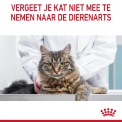 Royal Canin Hairball Care Natvoer In Gravy Kattenvoer 48x85g -Bekende Dieren Product Winkel Royal Canin Hairball Care Gravy Kat NL 12